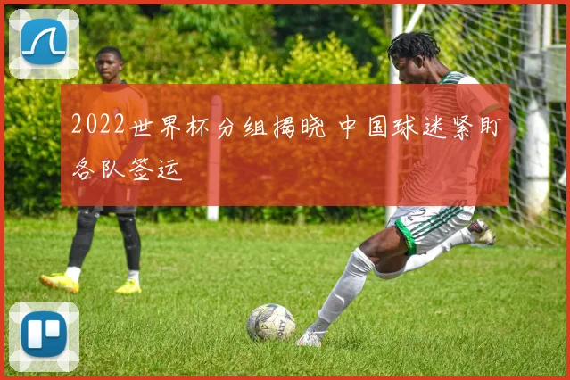2022世界杯分组揭晓 中国球迷紧盯各队签运