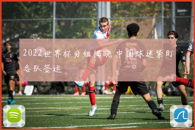2022世界杯分组揭晓 中国球迷紧盯各队签运