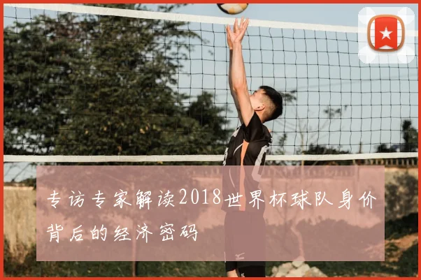 专访专家解读2018世界杯球队身价背后的经济密码