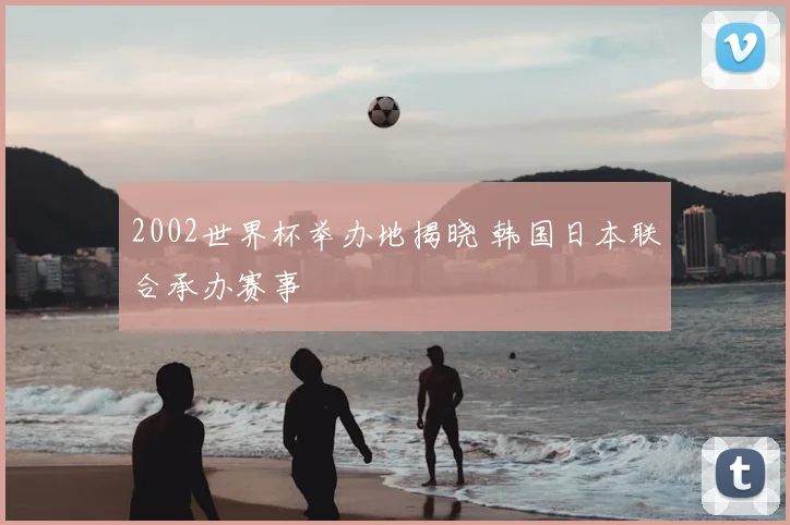 2002世界杯举办地揭晓 韩国日本联合承办赛事