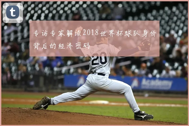 专访专家解读2018世界杯球队身价背后的经济密码