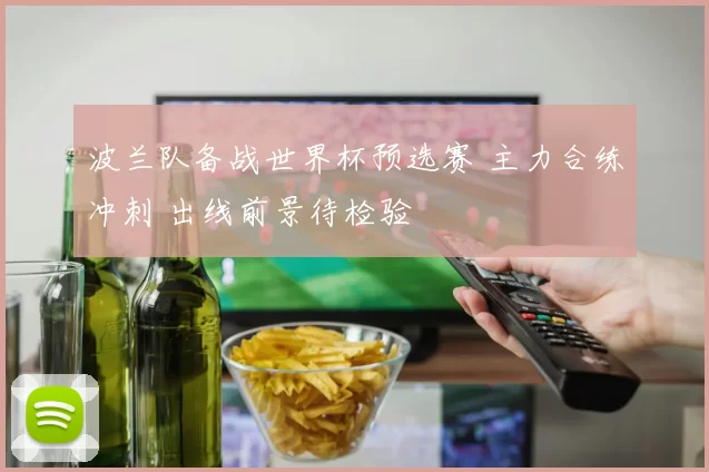 波兰队备战世界杯预选赛 主力合练冲刺 出线前景待检验
