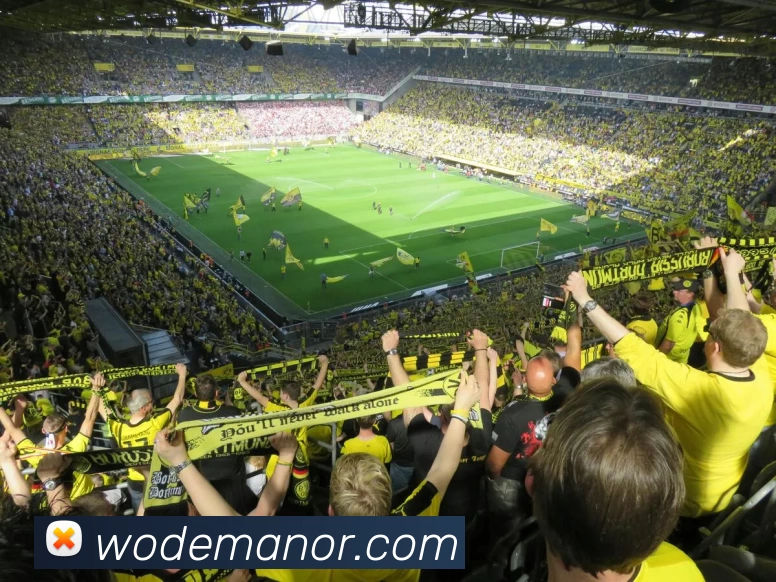 悟空体育官网登录品牌故事