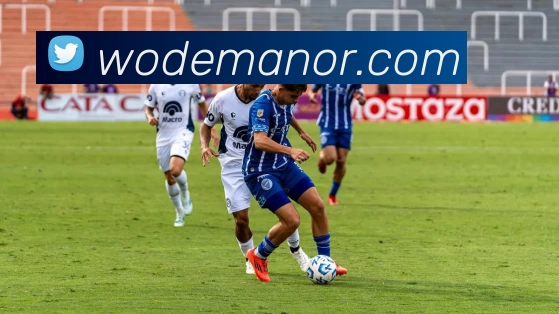 悟空体育官网登录服务体系